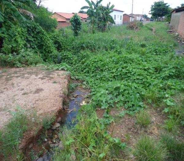 Cansada de esperar providências da Prefeitura, mulher decide roçar rua onde mora - Imagem 6