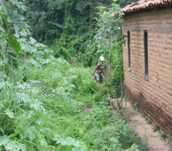 Cansada de esperar providências da Prefeitura, mulher decide roçar rua onde mora - Imagem 8