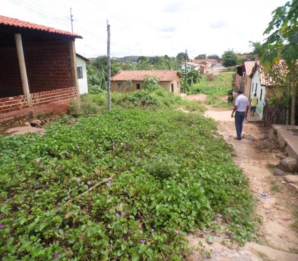 Cansada de esperar providências da Prefeitura, mulher decide roçar rua onde mora - Imagem 11