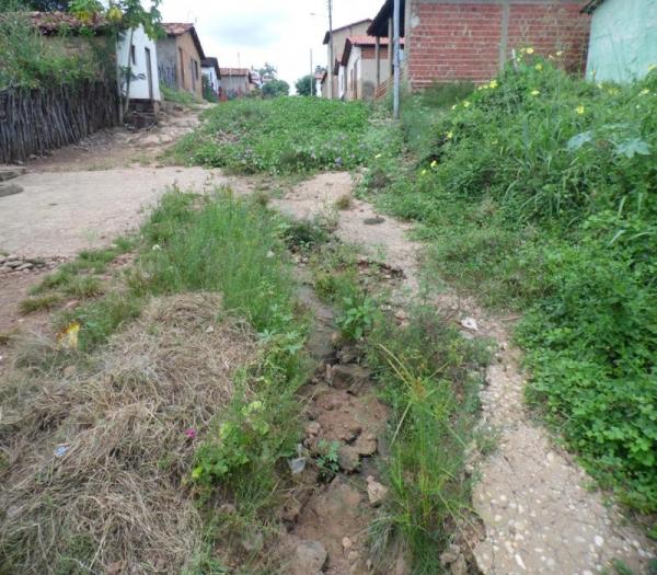Cansada de esperar providências da Prefeitura, mulher decide roçar rua onde mora - Imagem 7