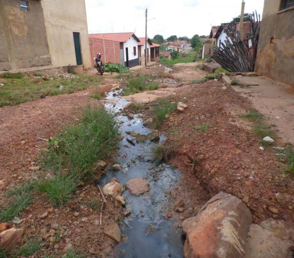 Cansada de esperar providências da Prefeitura, mulher decide roçar rua onde mora - Imagem 14