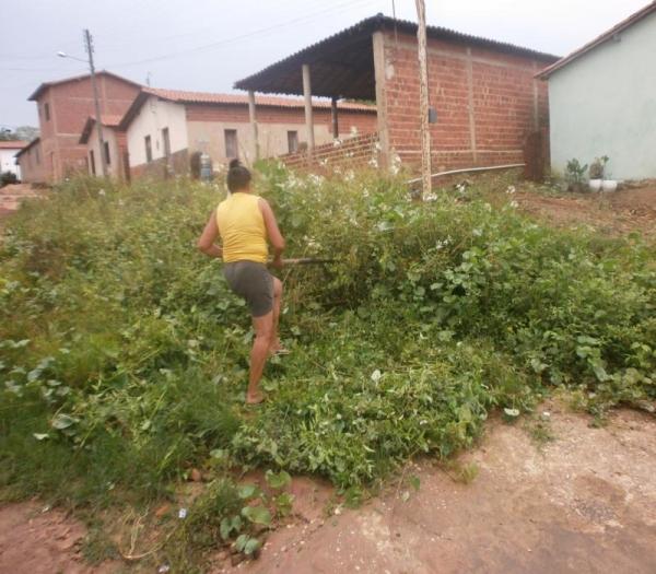 Cansada de esperar providências da Prefeitura, mulher decide roçar rua onde mora - Imagem 1
