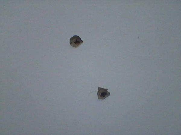 Mortos dois dos três rapazes acusados de tentarem assaltar os Correios em Anísio de Abreu - Imagem 8