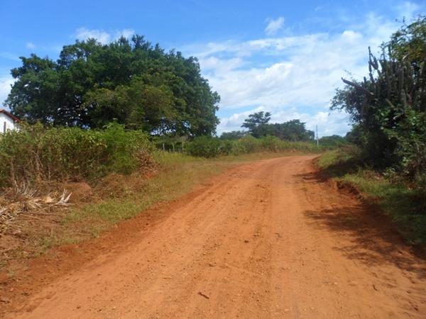 Prefeitura trabalha de recuperação de diversas estradas vicinais do município - Imagem 5