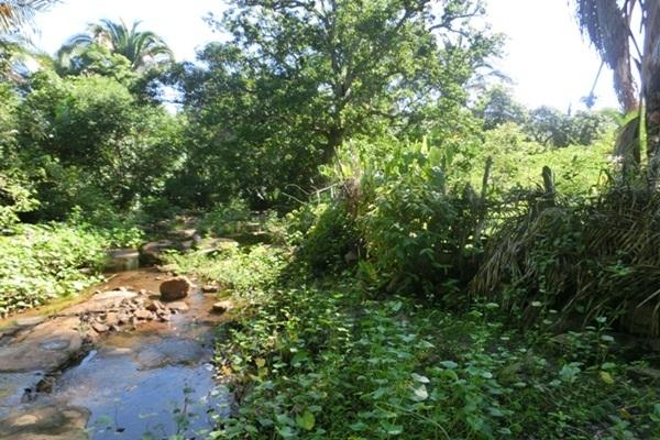 Nascentes de olhos d’água serão revitalizadas - Imagem 2