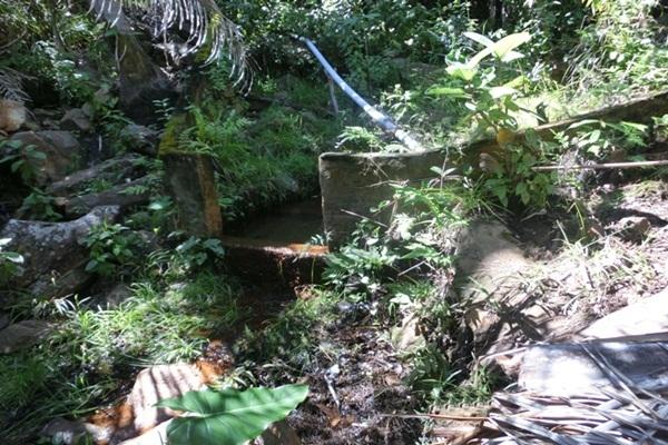 Nascentes de olhos d’água serão revitalizadas - Imagem 3