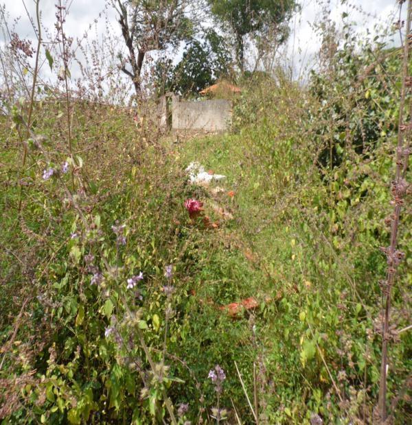 Matagal assusta! Cemitério da Lagoa de Fora tomado pelo mato - Imagem 13