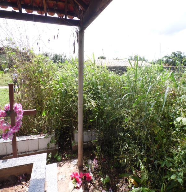 Matagal assusta! Cemitério da Lagoa de Fora tomado pelo mato - Imagem 5