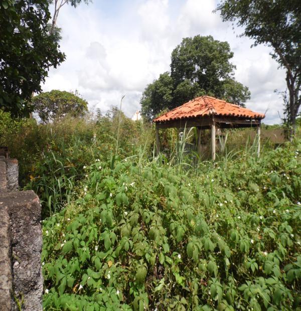 Matagal assusta! Cemitério da Lagoa de Fora tomado pelo mato - Imagem 15