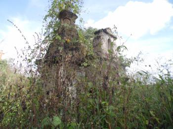 Matagal assusta! Cemitério da Lagoa de Fora tomado pelo mato