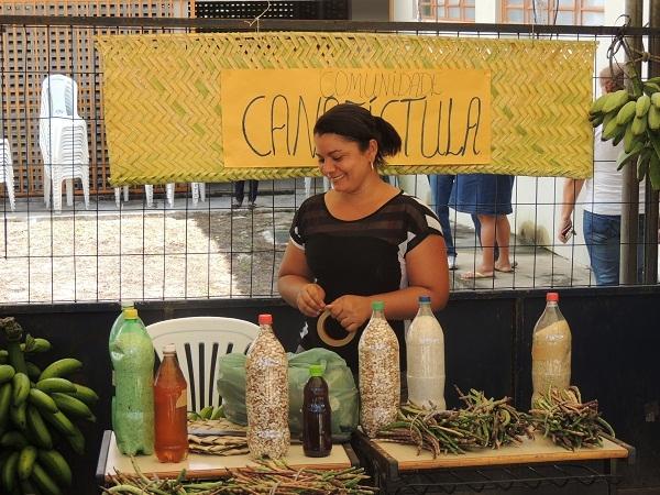                        Começa a “26ª Festa  da Produção” de Monsenhor Gil - Imagem 2