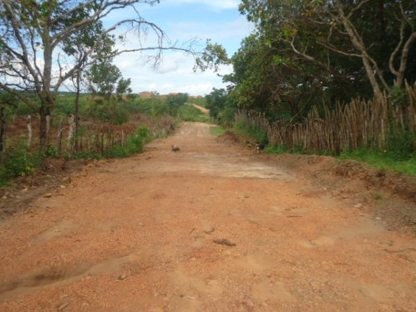 Prefeitura Municipal de Batalha  Abri Ruas  e recupera ruas vicinais na Vila Kolping e Pedra do Letreiro - Imagem 15