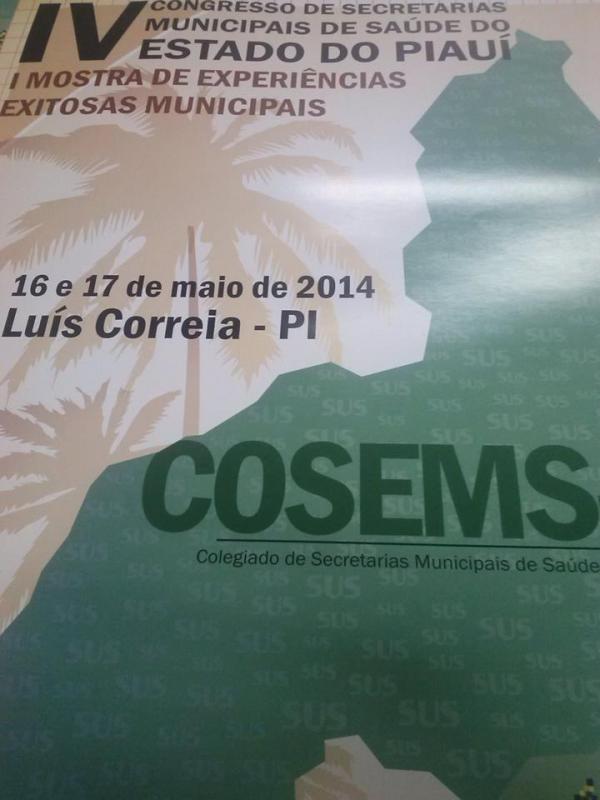 Secretario de saúde participa de reunião da CIR em Teresina - Imagem 3