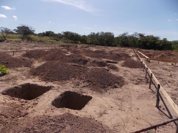 Construção de seis novas escolas-modelo vão beneficiar cerca de 2 mil alunos em São Francisco do PI - Imagem 6