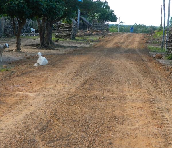Prefeitura finaliza recuperação de estrada e abastecimento d’água no Povoado Oiticica - Imagem 2