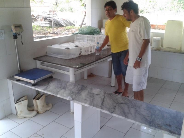 Frango São Miguel - Imagem 4