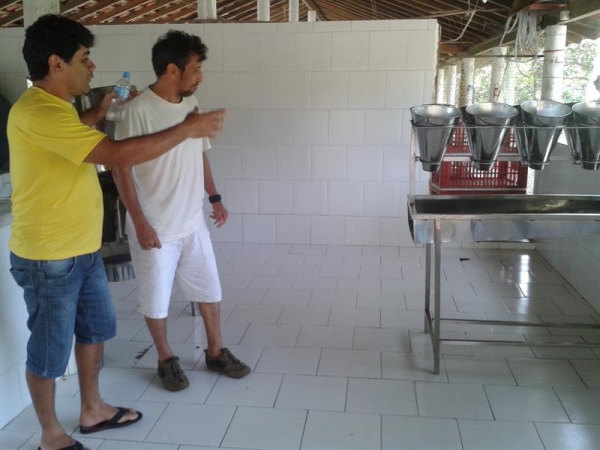 Frango São Miguel - Imagem 8