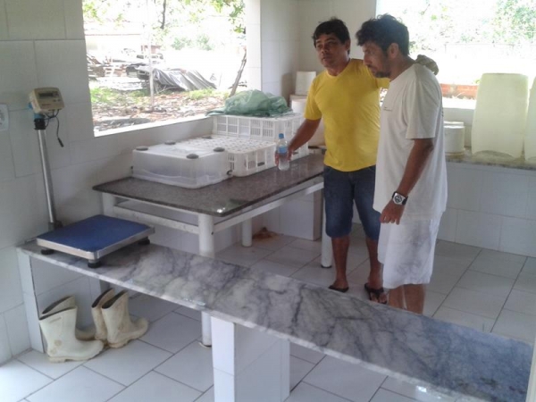 Frango São Miguel - Imagem 5