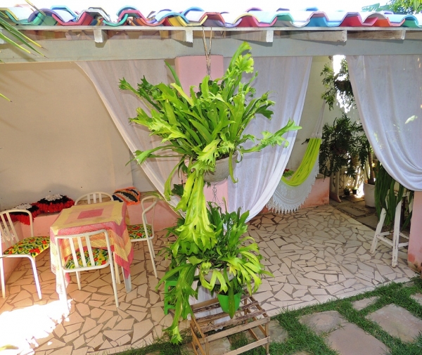 Pousada Neblina ótimos apartamentos confortáveis e decorados - Imagem 11