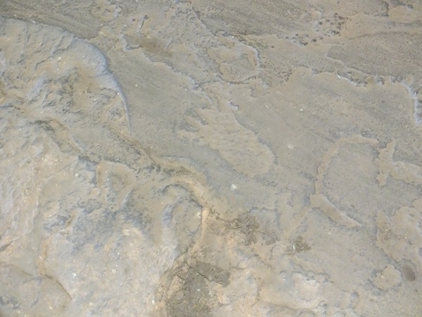 Alunos da turma de História da FADESB, visitam pontos turísticos e históricos da cidade - Imagem 26