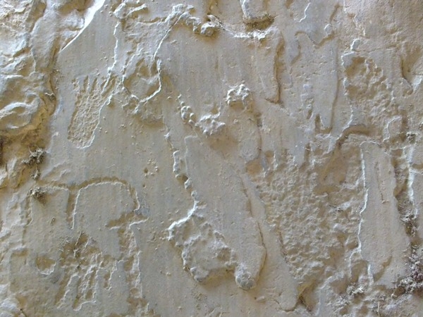 Alunos da turma de História da FADESB, visitam pontos turísticos e históricos da cidade - Imagem 12