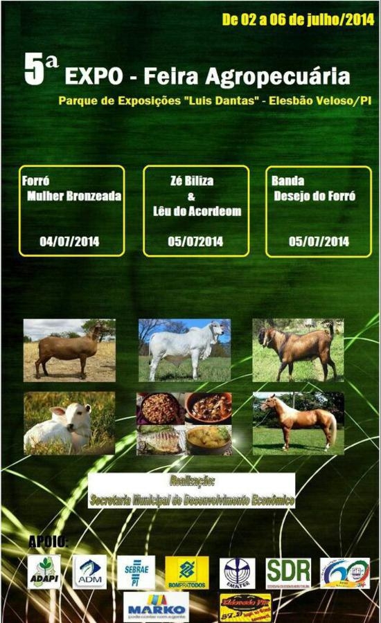 Organizadores divulgam datas da 5ª Feira Agropecuária de Elesbão Veloso    - Imagem 2