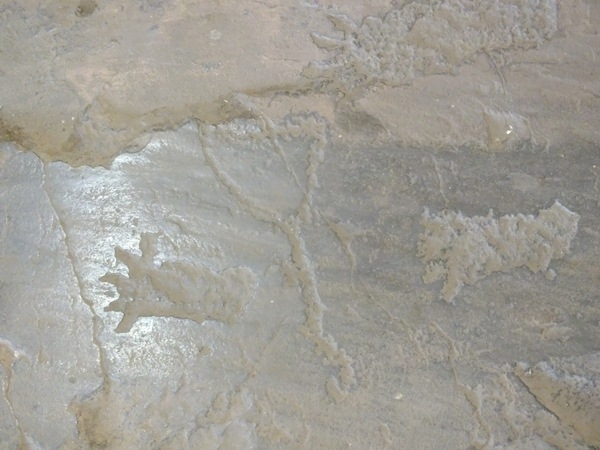 Alunos da turma de História da FADESB, visitam pontos turísticos e históricos da cidade - Imagem 27