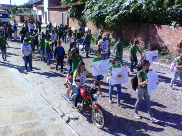 Secretaria de Saúde de Boa Hora realiza o dia D de combate a dengue - Imagem 7