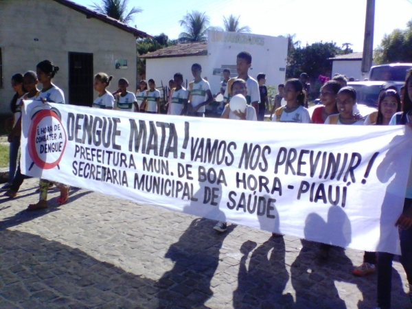 Secretaria de Saúde de Boa Hora realiza o dia D de combate a dengue - Imagem 6