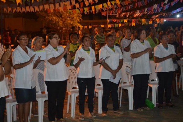 Procissão marca inicio do Festejo de Pimenteiras. Confira as fotos  - Imagem 7