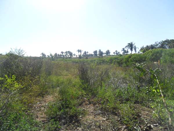  Prefeitura de Lagoinha prepara Terreno para construção de Ginásio