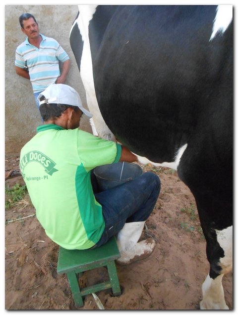Comunidade inhumense comemora o aniversário de Inhuma em grande Estilo  - Imagem 170