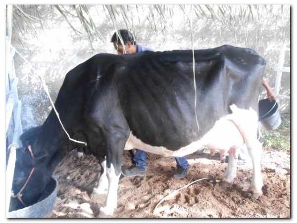 Comunidade inhumense comemora o aniversário de Inhuma em grande Estilo  - Imagem 166