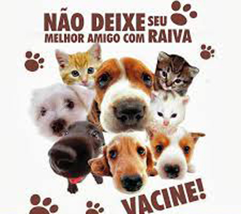 Proteja e vacine seus animais contra a raiva. Campanha de vacinação anti-rábica