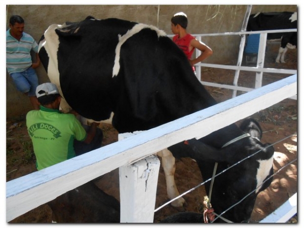 Comunidade inhumense comemora o aniversário de Inhuma em grande Estilo  - Imagem 169