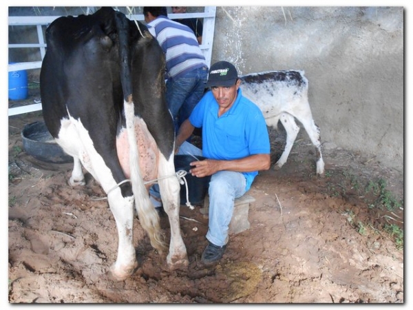 Comunidade inhumense comemora o aniversário de Inhuma em grande Estilo  - Imagem 167
