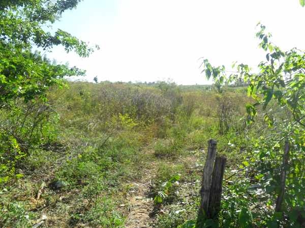  Prefeitura de Lagoinha prepara Terreno para construção de Ginásio - Imagem 1