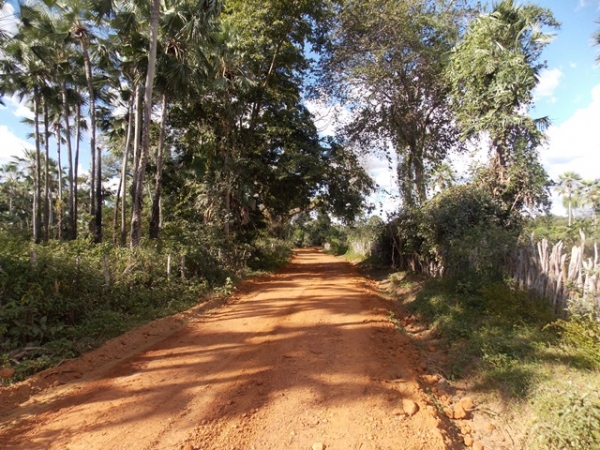 Prefeitura de São Francisco realiza empiçarramento em estradas de comunidades rurais - Imagem 9