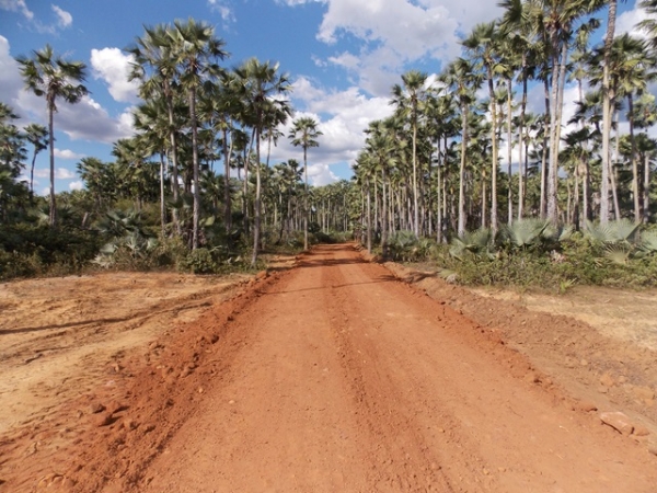 Prefeitura de São Francisco realiza empiçarramento em estradas de comunidades rurais - Imagem 4