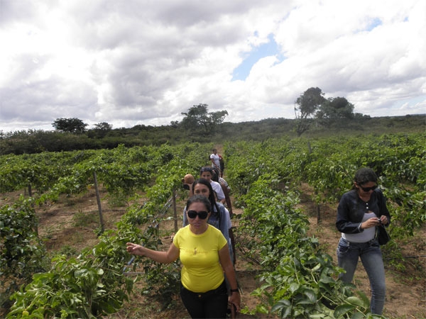 Alunas do Pronatec/UFPI realizam aula prática na cidade de Pedro II - Imagem 8