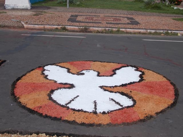  Dia 19 de  Junho dia de corpus christi Com um Lindo Tapete  em Batalha  - Imagem 3