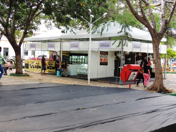 Artesãos organizam estantes para participar da feira de artesanato promovida pelo Sebrae - Imagem 3