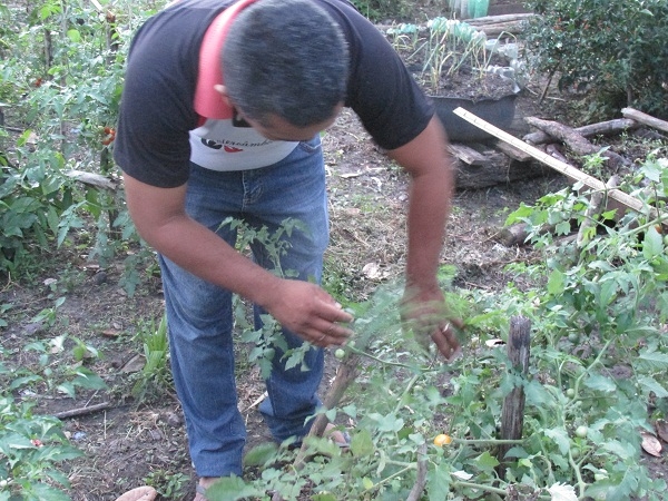 Prefeito Manin Geronço e Vice-Prefeito Raimundo do PT fizeram visita às comunidades  - Imagem 6