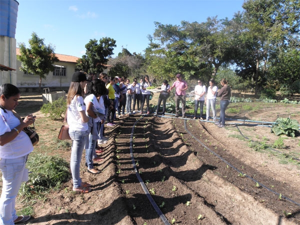 Alunas do Pronatec/UFPI realizam aula prática na cidade de Pedro II - Imagem 4
