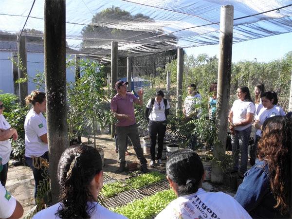 Alunas do Pronatec/UFPI realizam aula prática na cidade de Pedro II - Imagem 3