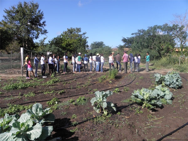 Alunas do Pronatec/UFPI realizam aula prática na cidade de Pedro II - Imagem 6