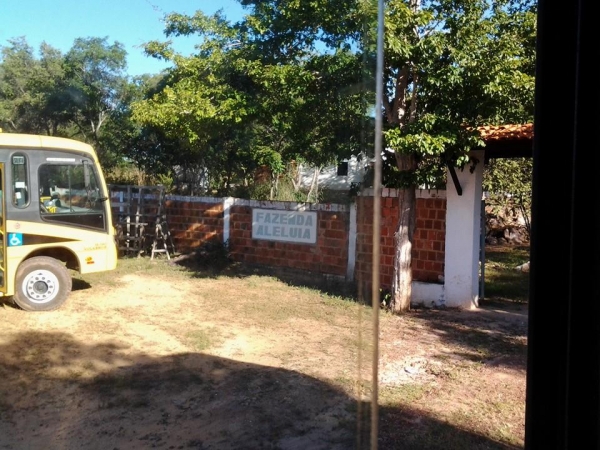 Passeio em homenagem ao Dia das Mães - Imagem 28