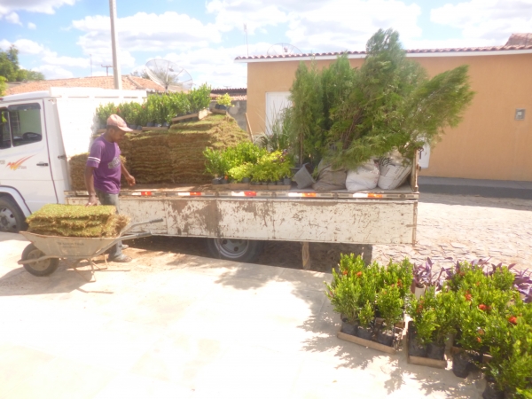 Praça do Jacaré é revitalizada pela prefeitura e secretaria de Meio Ambiente - Imagem 4