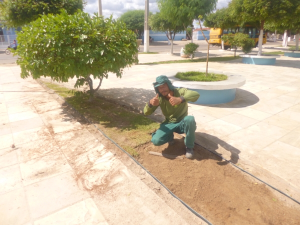 Praça do Jacaré é revitalizada pela prefeitura e secretaria de Meio Ambiente - Imagem 5