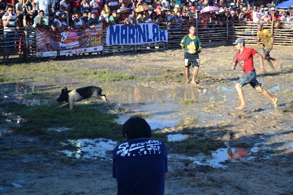 3ª Porcaiada repete o sucesso de público e irreverência - Imagem 2